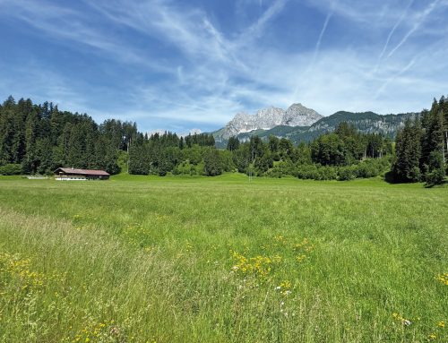 Unterbürg: pro oder contra?