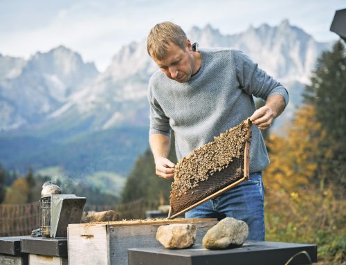 In einer echten Gemeinschaft wird aus vielen ICHs ein WIR*